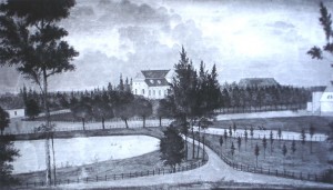 Trautm_glezna02