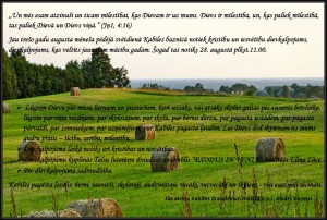 Afisa-28-08-2016