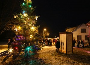 Kabiles egles iedegšana 10.12.2016.