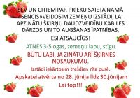 Zemeņu izstāde saieta namā “Sencis”