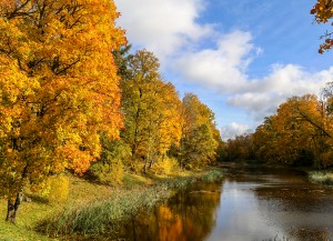 Kabile rotājas rudens zeltā