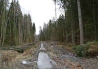 Kabiles meža īpašnieku ievērībai