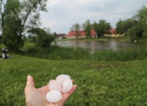 Negaiss Kabilē 11.06.2019.