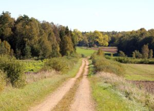 Kabile. Zelta rudens. I
