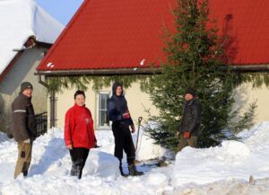 Lielā egle un eglītes Kabilē…