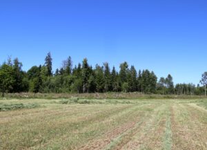 Kabiles pilskalns