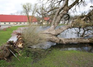 Vēja postījumi 14.04.